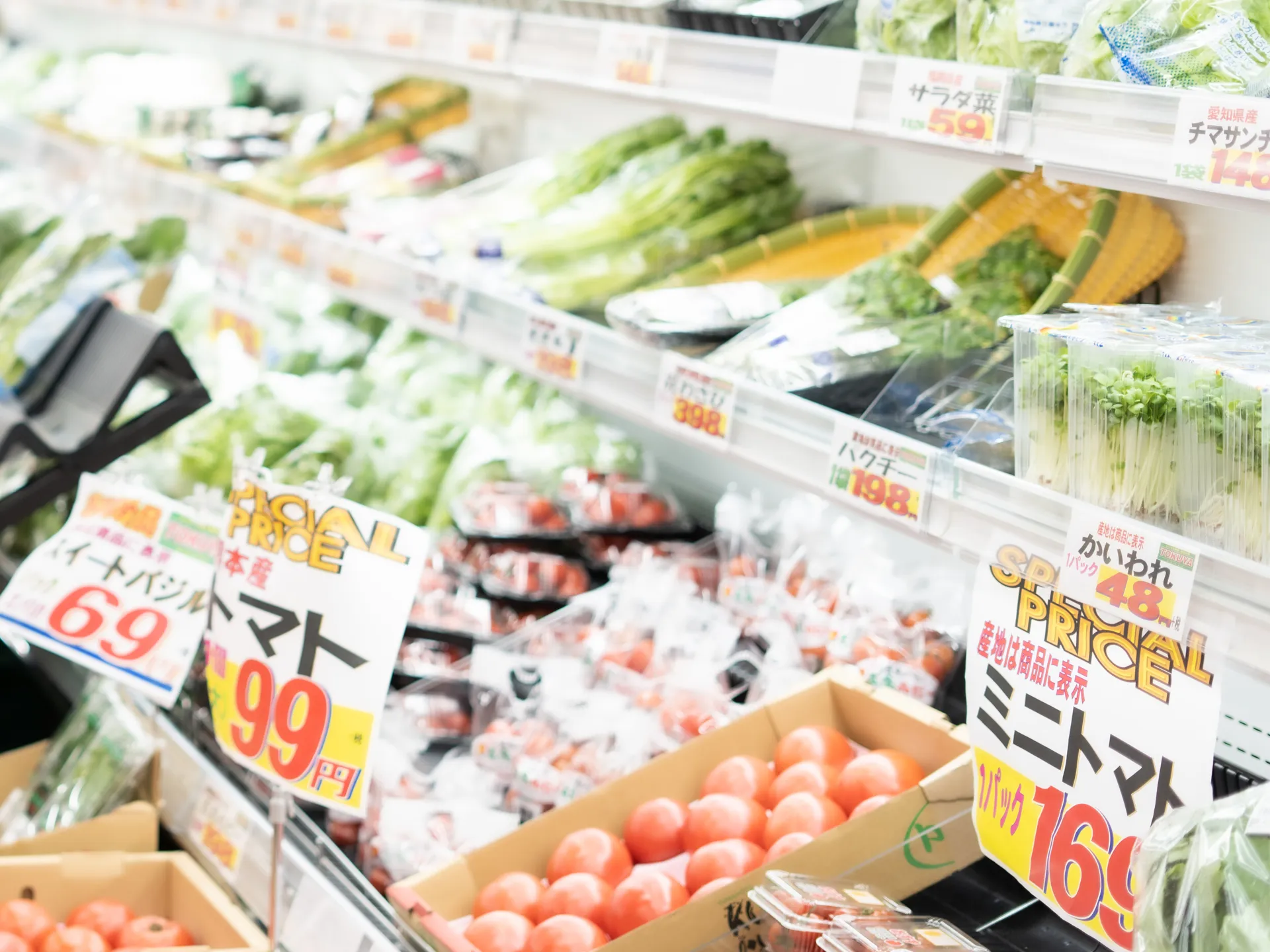 ⼩売・量販店への販売